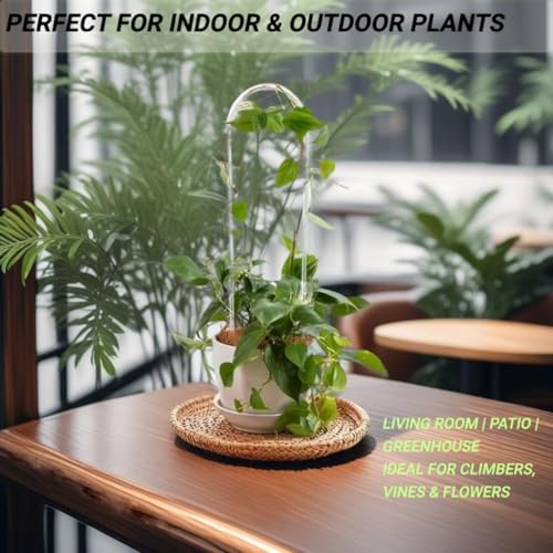 2 Pack U-Shaped Clear Acrylic Plant Supports - 14 inches Indoor/Outdoor Climbing Vine Trellis for Potted Plants, Ideal for Ivy & Tropical Houseplants,Plant Support Hoya Trellis - view 6