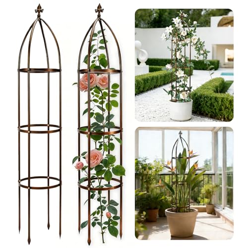 6.3FT, 100% Metal Thickened Garden Obelisk Trellis for Climbing Plants