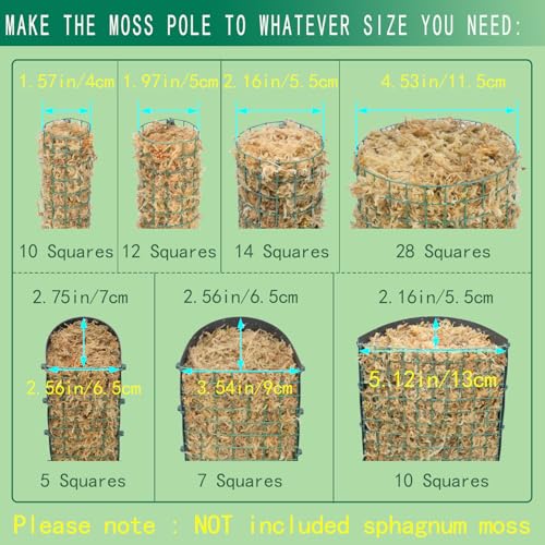 Metal Moss Poles for Climbing Plants, D-Shape Sphagnum Moss Pole Monstera Plant Support for Climbing Plants, DIY Plant Stakes Work with Sphagnum Moss (4ft D-Shaped & 6ft Round) - view 4