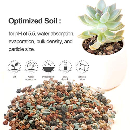 Mix Horticultural Lava Rock Pebbles Pumice Potting Soil Amendment Succulent Cactus Bonsai Gritty Rock Decorative Gravel Plant Drainage Volcanic for Terrarium Fairy Gardening Top Dressing 6lb - view 2