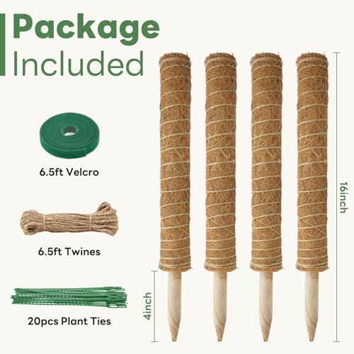 Moss Pole for Plants Indoor - 4 Pack Plant Poles for Climbing Plants - view 5