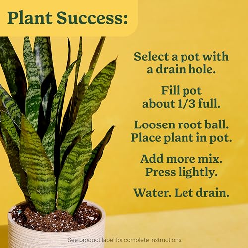 Indoor Potting Mix for All Plants, 6 qt., 2-Pack - view 6