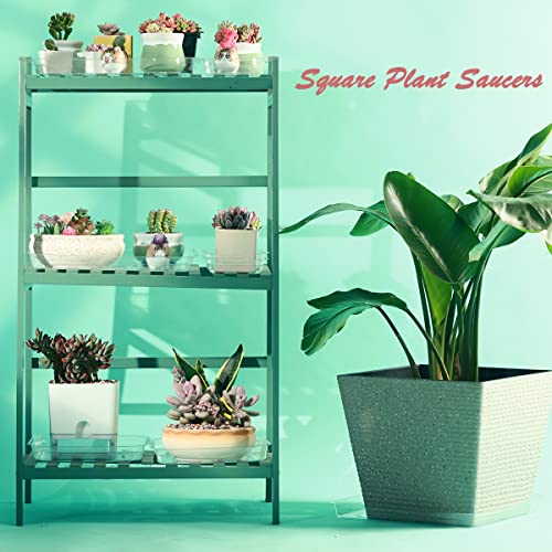 30 Pack Plant Saucers for Indoors 4 Inches Plant Trays for Pots Plastic Trays for Plants Square Plant Drip Trays for Potted Plants Flower Pot Saucers Clear Plant Plates to Catch Water, Bulk - view 7