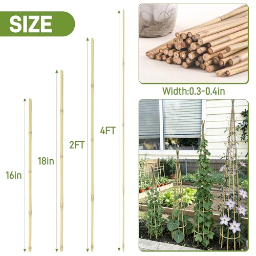 50Pcs Garden Stakes, 0.32”/16 Inch Bamboo Sticks，Natural Plant Stakes for Indoor and Outdoor Plants，Poles for Tomatoes, Beans, Potted Plants - view 2