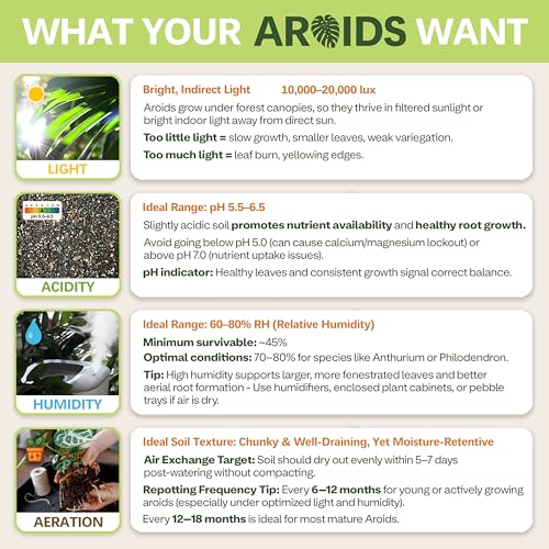 Premium AROID Soil Blend for Monstera, Philodendron, Alocasia, Anthurium – Chunky, Optimally Aerated Soil – Organic & Ready to Use – Supercharges Root and Foliage Growth - (2QTS) - view 5