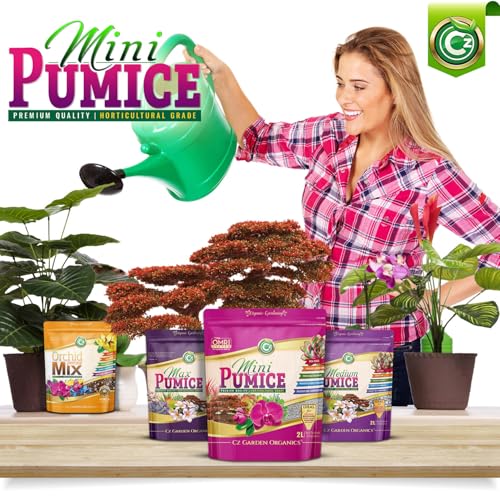 Pumice Stone Grow Media - Made in USA - OMRI Listed - Bonsai • Succulents • Cactus • Orchids - Horticultural Soil Amendment Additive Conditioner for Indoor/Outdoor Plants and Organic Gardens. - view 3