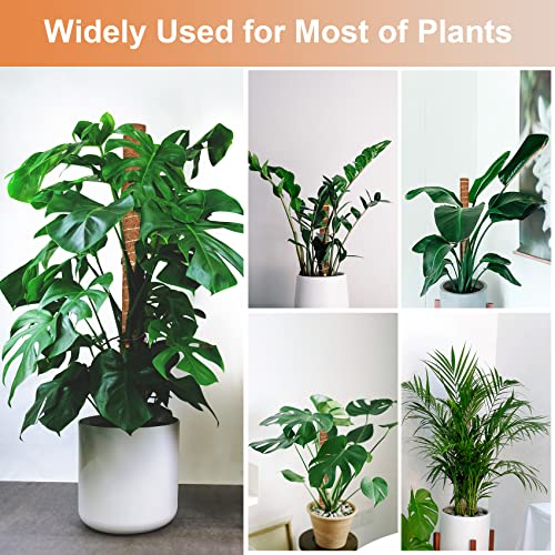 【4 Pack】 Moss Pole, 17 inch Coco Coir Totem Poles Extending to 53 Inches, Plant Support Stick Plant Poles for Indoor Plants Climbing Plants Monstera, Sphagnum, Pothos - view 6