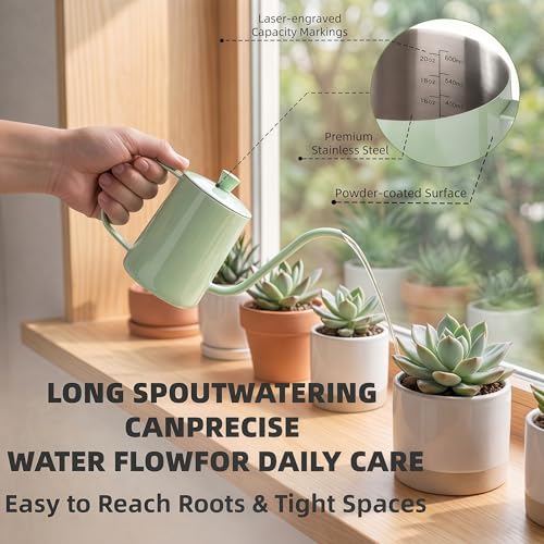 2 Pack Small Watering Can for Indoor Plants, 20 oz Metal Plant Watering Can with Long Spout for House Plants, 13.5 oz Glass Plant Mister Spray Bottle for Bonsai Garden Flowers Decorative - view 2
