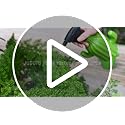 Plant Mister Spray Bottle - view 7
