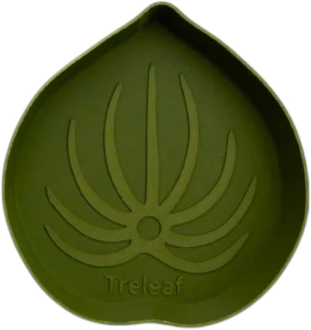 Mia Bottom Watering Plant Saucer – 10 inches Self-Watering Plant Tray for Indoor Plants, Leaf-Shaped Pot Saucer with Water Reservoir for Healthy Root Growth - Green