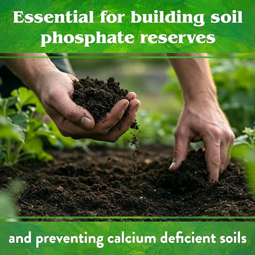 Organic Rock Phosphate - Calcium Phosphate Plant Food for Flower Beds and Vegetable Gardens 0-3-0, 5 lb - view 6