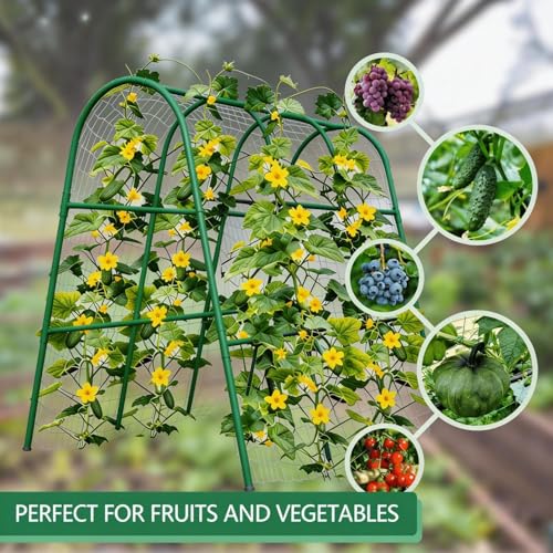 Garden Arch Trellis for Raised Beds, 4x5.3FT Plant Support for Cucumbers, Melons, Grapes, Roses & Climbing Vegetables, Outdoor Rust-Resistant Trellis for Vertical Growing, Green - view 3