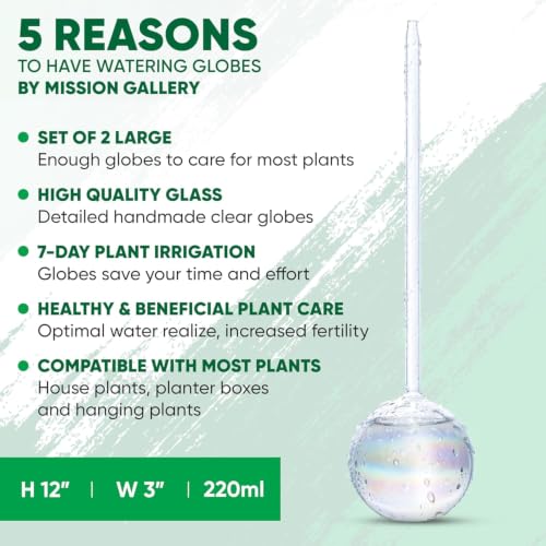 Clear Plant Watering Globes Set of 2, Large - Glass Self Watering Globes - view 3