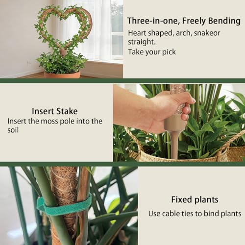 3 Moss Poles in 1, 30IN Tall Bendable Monstera Plant Support -1 Pack - view 6