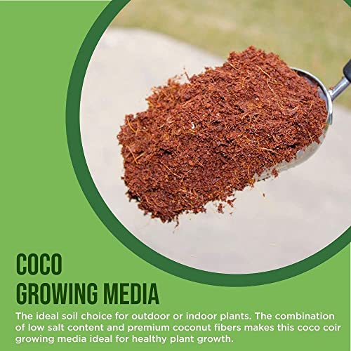 Coconut Husk Chips for Orchids 10 Lb Coco Coir Planting Chips - view 7