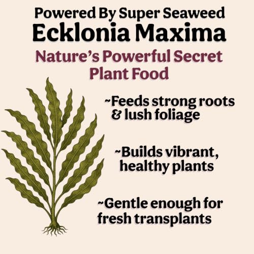 Organic Liquid Indoor Plant Food, Houseplant, Tropical & All-Purpose Indoor Plant Fertilizer, Organic Liquid Fertilizer 5-5-5 with Sea Kelp, 8oz Treats 50 Gallons - view 5