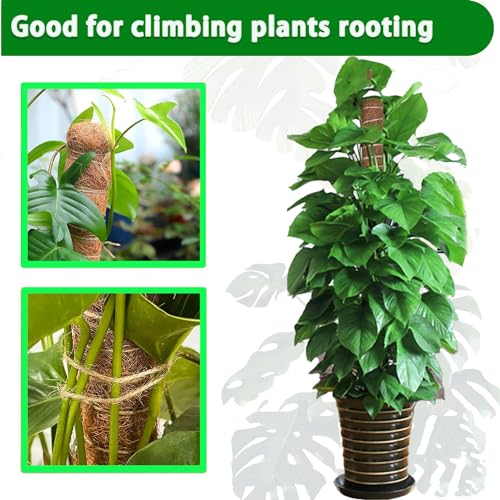 Moss Pole, 2 Pack 17 Inch Monstera Plant Support for Climbing Plants Accessories Indoor, Stackable Moss Poles Plant Support Stakes, Coir Plant Pole Sticks for Potted Plants, Pothos, Philodendron - view 4