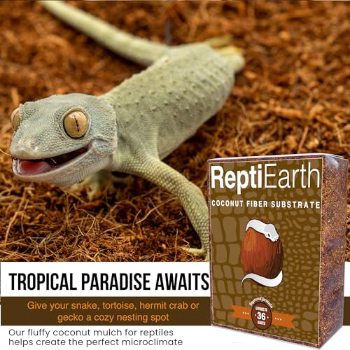 ReptiEarth Reptile Bedding, Fluffy Coconut Fiber Substrate 36 Quart Organic Coco Ready to Use for Bioactive Snake Terrarium, Lizard Tanks with Plants, for Frog, Tarantula or Hermit Crab Habitat (4 Pk) - view 3