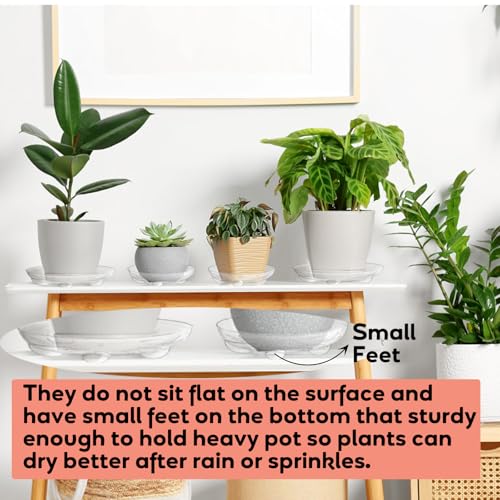 24 Pack Clear Plant Saucers with Feet, 6/8/10/12 Inch Heavy Duty Plastic Plant Drip Trays, Flower Pot Trays, Plant Water Catcher Tray for Indoor & Outdoor Plants, Round, 4 Sizes - view 4