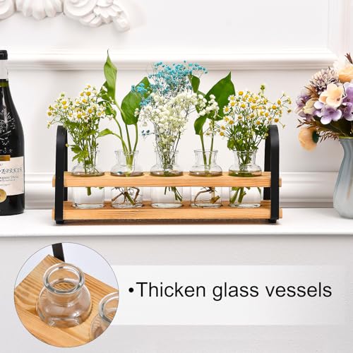 Plant Propagation Station with Wood Stand, Desktop Terrarium for Hydroponic, Flower Vase for Home, Kitchen, Office Decor, Plants Lover Gifts - view 2