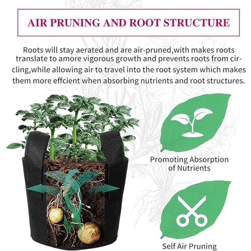 Indoor Hydroponic Growing Kit - Aeroponic Tower for Herbs, Fruits & Vegetables - Complete with Timer, Net Pots & Easy Setup for Home Gardening - view 6