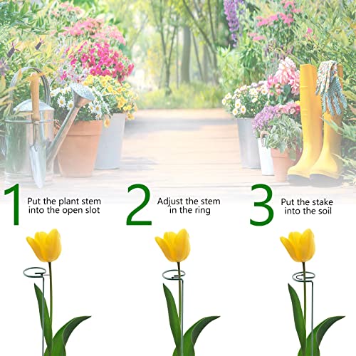 12 Pack 16 Inch Plant Support Stakes, Metal Single stemmed Flower Support Hoops，Garden Plant Stakes Plant Prop for Amaryllis Orchid Lily Rose Peony Tomatoes Gladiolus - view 4