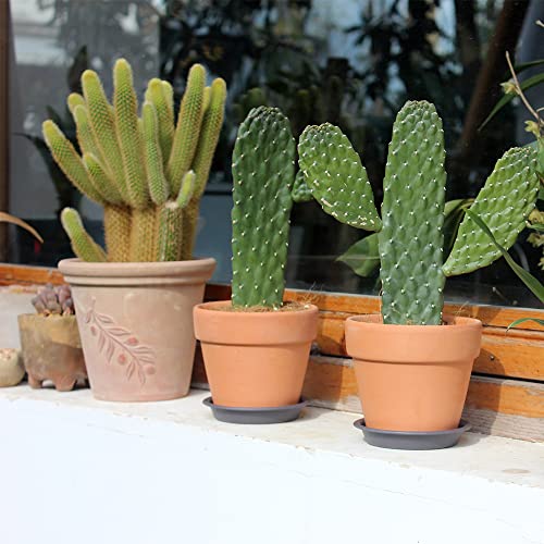 22 Pack 3.55 Inch Gray Plastic Round Plant Pot Saucer - view 3