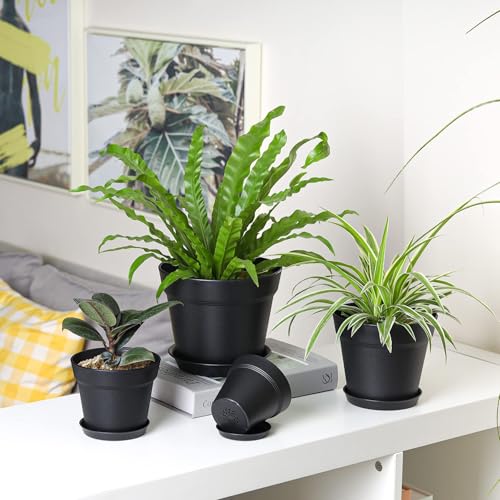 7.5 Inch Plant Pots 6 Pcs, Flower Pots for Indoor Plants Plastic Pots for Plants with Drainage Holes and Saucer, Planters for Indoor Plants for House Cactus Succulent Black - view 5