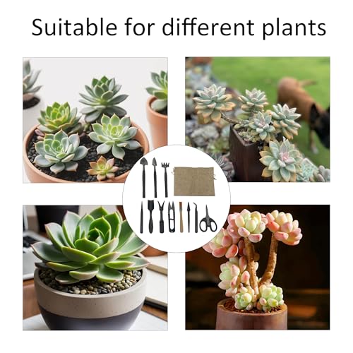 13Pcs Succulent Tools Set Mini Garden Tools Kit for Indoor Bonsai Cactus Care with Pruning Shears Scissors Transplanting Tools for Houseplant - view 7