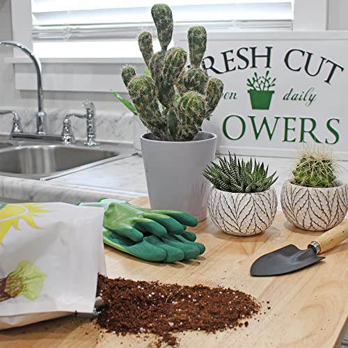 Coco Peat Perlite Potting Mix (4 Quarts) Loose Coconut Coir and Perlite - view 3