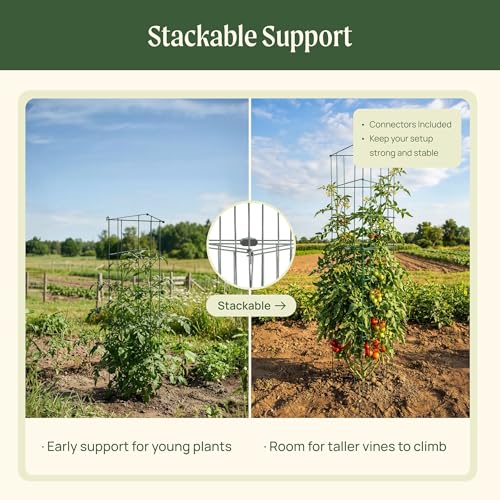 Vego 3-Panel Tomato Cage for Garden & Pots, Rust-Resistant Tomato Stakes Plant Cage Trellis Support for Climbing Vegetables Plants- 11.5" Triangle 4 Pack - view 6