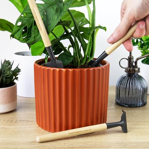 Gift Republic Plant Parent Care Kit Miniature Shovel, Fork & Trowel Set for Houseplants Indoor Garden Tools for Beginners & Experts Gardening Gift, Green - view 3