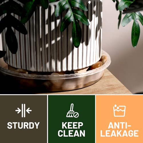 6 Pack of 8 inch Plant Saucer, Durable Plastic Plant Trays for Indoors, Clear Plastic Flower Plant Pot Saucer, Made of Thicker, Stronger Plastic, with Taller Design - view 4
