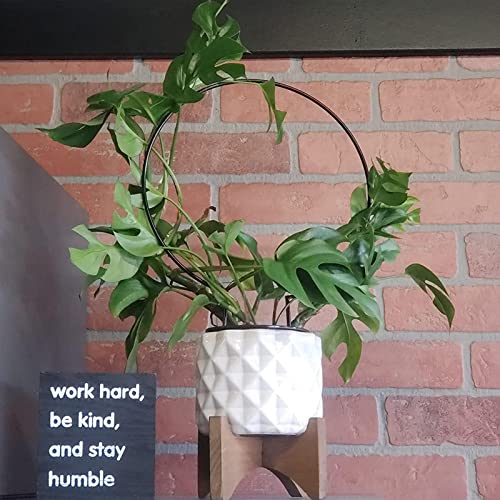 10 Pcs Circle Indoor Plant Trellis for Potted Plants - view 5