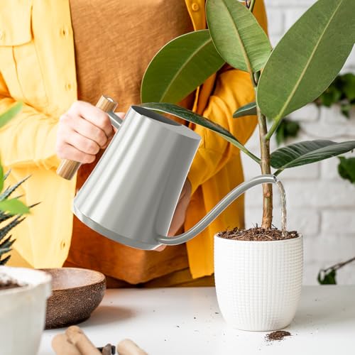 1L/35oz Metal Watering Can Indoor with Long Spout, Gray - view 7