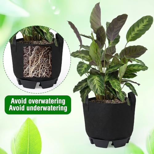 6 Set 5 Gallon Grow Bag Self Watering Fabric Pot Base Automatic Watering System Plant Nonwoven Grow Bag Handle Plant Saucer Elevate Flower Tray for Garden Indoor Outdoor Greenhouse (Black) - view 4