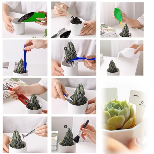 20PCS/Set Succulent Tools Set, Mini Garden Tool Set, Transplanting Tools Set, Succulent Care Kit for Succulent Miniature Gardening Plant - view 4