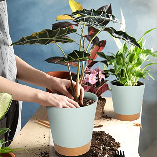 Plant Pots 7/6.5/6/5.5/5 Inch Self Watering Planters with Drainage Hole, Plastic Flower Pots, Nursery Planting Pot for All House Plants, African Violet, Flowers, and Cactus,Green - view 6
