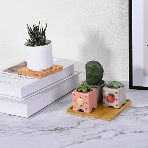 Plant Pot Saucer 3.5 Inch, 4 Pack Bamboo Square Flower Drip Tray for Home Indoor - view 5