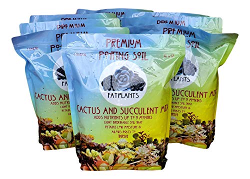 Premium Cacti and Succulent Potting Mix Soil - for Cactus Palm Tree Citrus Plant Grown in Gardening Containers - Indoors & Outdoors Use - with Natural Food/Fertilizer