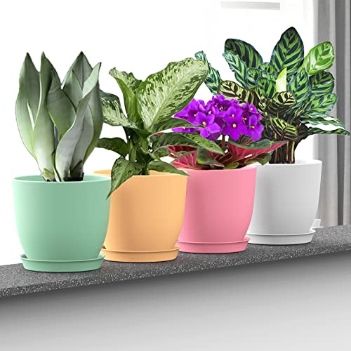 6 Inch Plant Pots, 12 Pack Plastic Planters Modern Flower Pot with Drainage Holes and Saucers for All House Plants, Herbs, Flowers and Seeding Nursery, Colorful - view 2