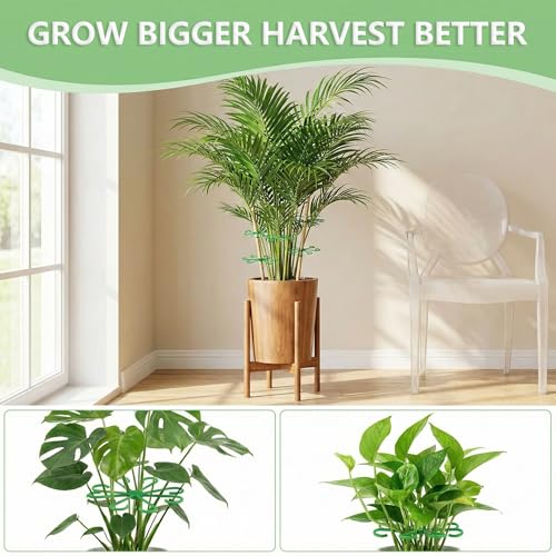 16PCS Plant Stem Support Clips for Indoor Climbing Houseplants - view 4