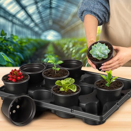 4 Inch Plastic Plant Pots 60 Pcs and 12 Cell Nursery Pots Trays 5 Pcs, Thick Sturdy Seeds Starting Germination Shuttle Carrying Trays, Black Small Planter Nursery Propagation 5 Sets - view 6