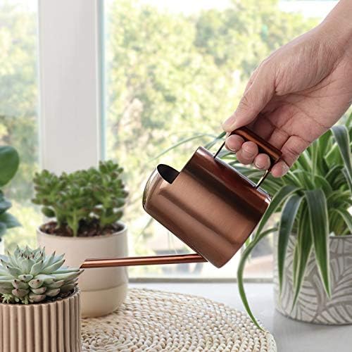 Mini Watering Can, 10oz/300ml Stainless Steel Long Spout Small Watering Can for Indoor Plants Succulents, Herbs (Bronze) - view 2