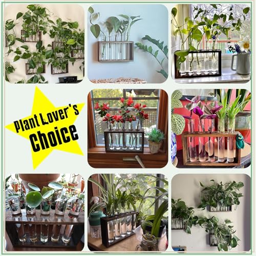 5Test Tube Plant Propagation Station Plant Terrarium Wooden Stand - view 4