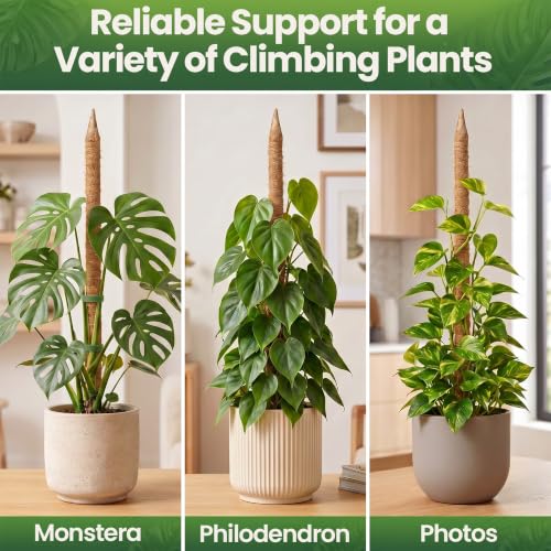 2 Pack 48'' Moss Pole Monstera Plant Support for Climbing Indoor Plants - view 6