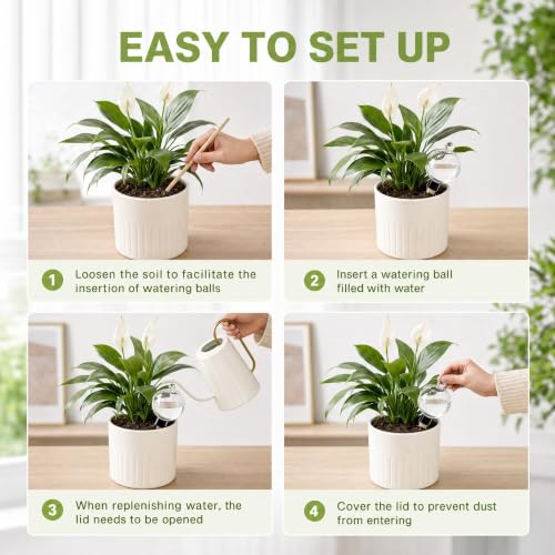 2-Pack 19oz XL Self-Watering Globes, Terracotta Plant Waterer Spikes - view 6