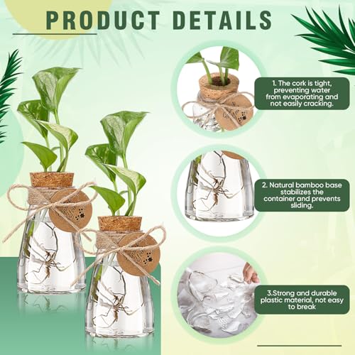 24 Pack 3.35'' Plastic Plant Propagation Stations with Hole Lid - view 4