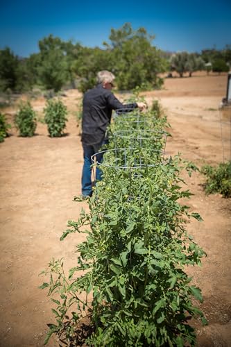 6-Pack 15" Planting Rings – Smart Water-Saving Tomato & Vegetable Support System, Anchors Tomato Cages, Prevents Tipping, Deep-Root Irrigation Basin (2-Gallon), – Tomato Cages Not Included. - view 6