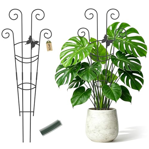 Plant Trellis 2 Pack Trellis for Potted Plants 29.96 in Trellis for Climbing Plants Indoor Plant Support Expandable Metal Monstera Plant Support for Pothos Ivy with Plant Ties